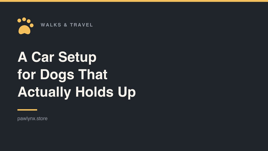 A Car Setup for Dogs That Actually Holds Up — PawLynx walks and travel guide