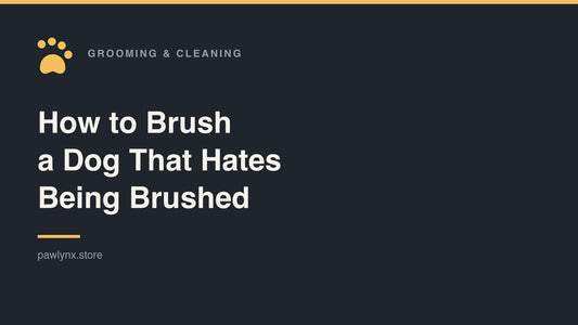 How to Brush a Dog That Hates Being Brushed — PawLynx grooming guide