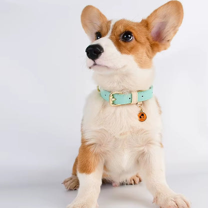 Leather Dog Collar S/M/L — product image 5