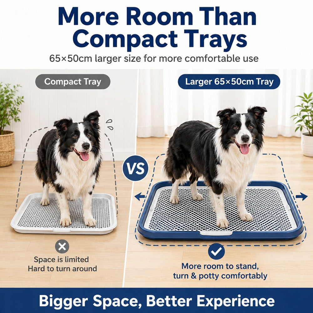 Indoor Dog Potty Tray — product image 10