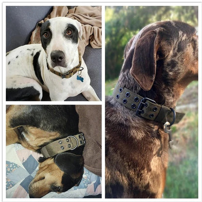 Heavy-Duty Tactical Dog Collar — product image 3