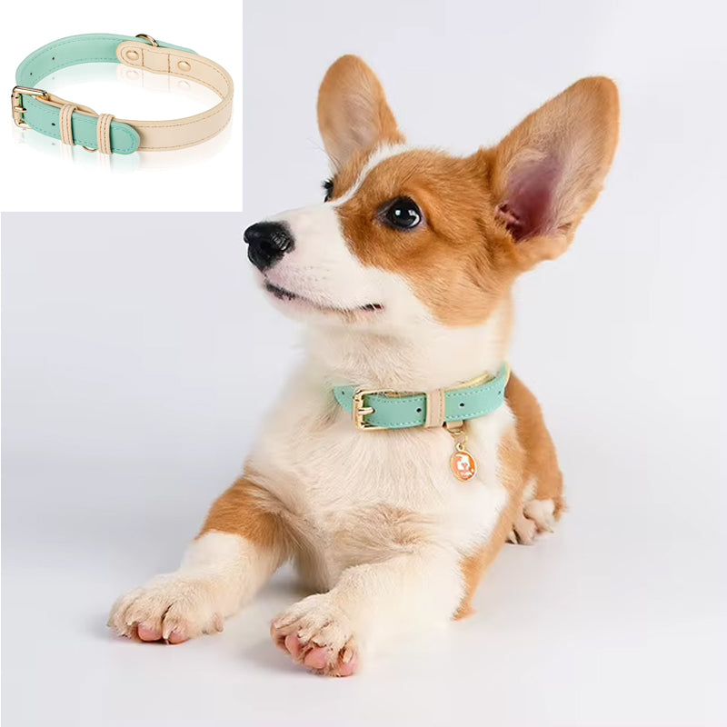 Leather Dog Collar S/M/L — product image 1