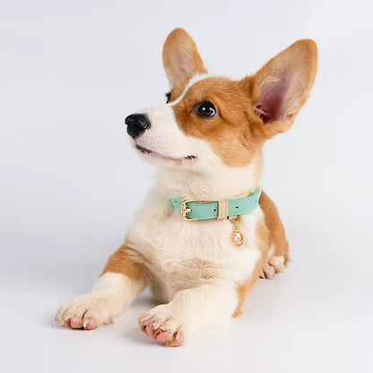Leather Dog Collar S/M/L — product image 3