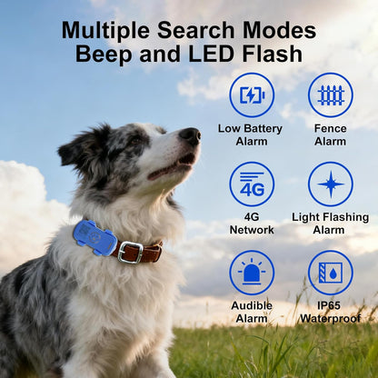 Pet GPS Tracker with Geofence — product image 6