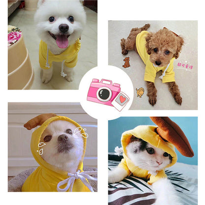 Dog Hoodie - Fruit Print — product image 6