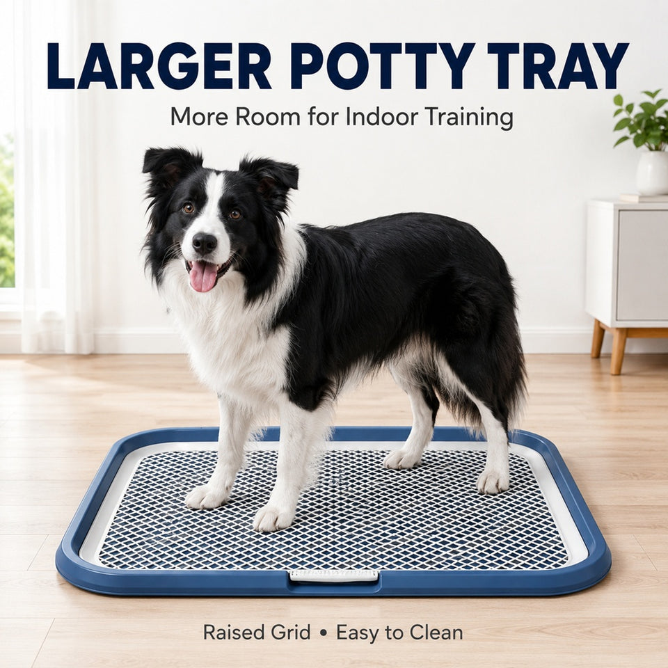 Indoor Dog Potty Tray