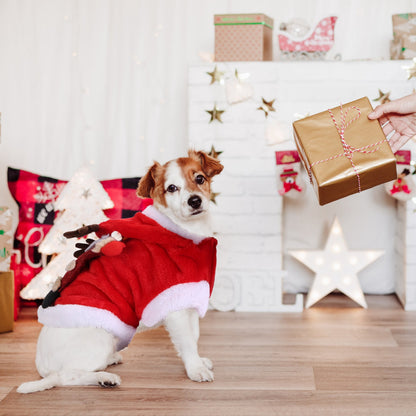 Pet Christmas Costume — product image 4