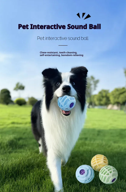 Voice Ball - Interactive Pet Toy — product image 7