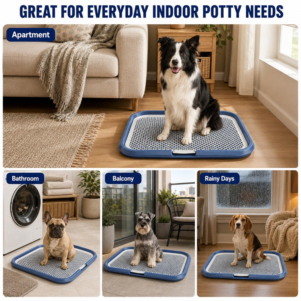 Indoor Dog Potty Tray — product image 8