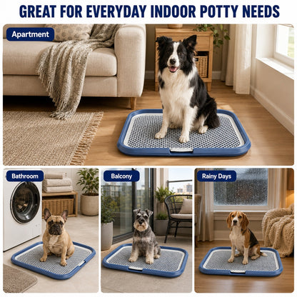 Indoor Dog Potty Tray — product image 8