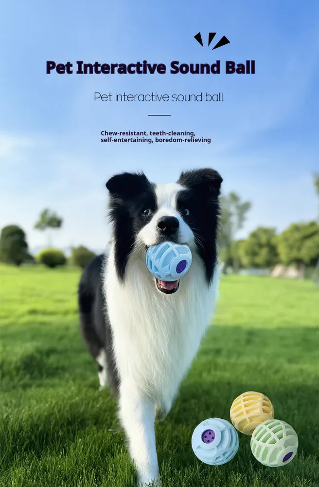 Voice Ball - Interactive Pet Toy — product image 6