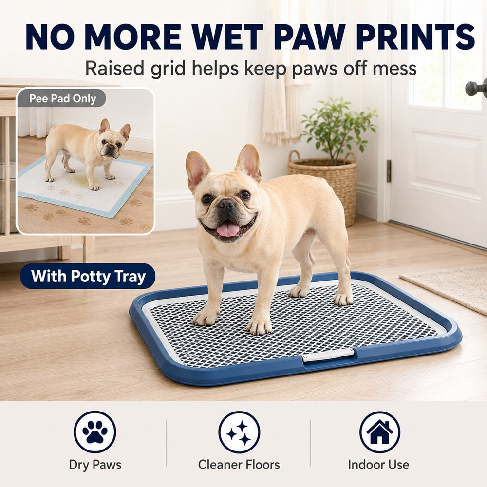 Indoor Dog Potty Tray — product image 2