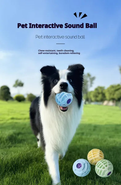Voice Ball - Interactive Pet Toy